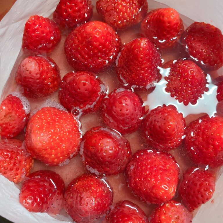 いちごのレアチーズケーキ ロリ子さんちのごはん Lolico S Kitchen